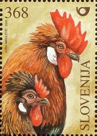Colnect-703-194-Farm-animals---Styrian-Hen-.jpg