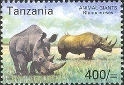 Colnect-1690-079-Black-Rhinoceros-Diceros-bicornis.jpg