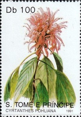 Colnect-5363-619-Phalaenopsis-lueddenmanniana.jpg