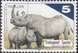 Colnect-964-802-Black-Rhinoceros-Diceros-bicornis.jpg