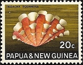 Colnect-1553-040-Fluted-Giant-Clam-Tridacna-squamosa.jpg