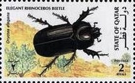Colnect-3478-608-Elegant-rhinoceros-beetle.jpg