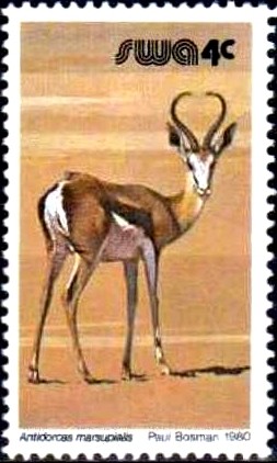 Dorcas-antelope.jpg
