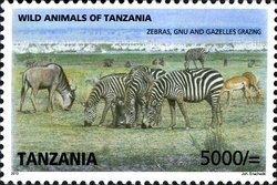 Colnect-1692-782-Zebras-Gnues---Gazelles-grazing.jpg