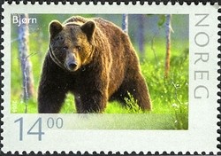 Colnect-503-527-Brown-Bear-Ursus-arctos.jpg