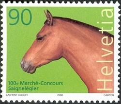 Colnect-528-219-Stallion-Equus-ferus-caballus.jpg