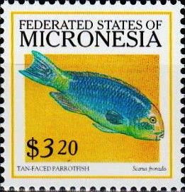 Colnect-5580-239-Tan-faced-parrotfish.jpg