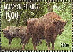 Colnect-608-984-European-bison-Bison-bonasus.jpg