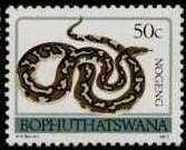 Colnect-1108-636-Southern-African-Rock-Python-Python-sebae-natalensis.jpg