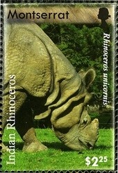 Colnect-1523-995-Indian-Rhinoceros-Rhinoceros-unicornis.jpg