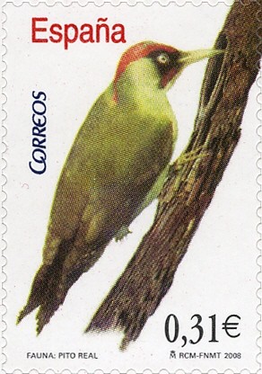 Colnect-572-809-Green-Woodpecker-Picus-viridis.jpg