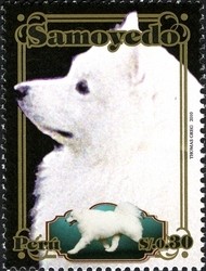 Colnect-1594-869-Samoyed-Dog-Canis-lupus-familiaris.jpg