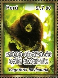 Colnect-1597-526-Yellow-tailed-Wooly-Monkey-Lagothrix-flavicauda.jpg