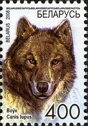Colnect-411-555-Wolf-Canis-lupus.jpg