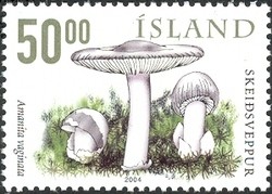 Colnect-1126-624-Mushrooms---Amanita-vaginata.jpg