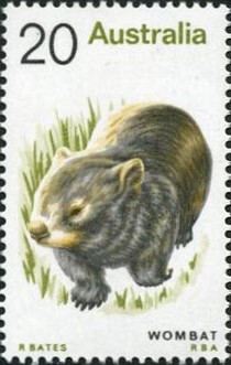 Colnect-683-125-Common-Wombat-Vombatus-ursinus.jpg