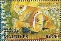 Colnect-1460-000-Maldive-Anemonefish-Amphiprion-nigripes.jpg
