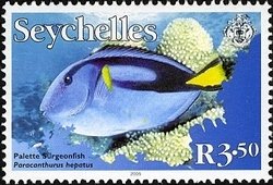 Colnect-1705-019-Palette-Surgeonfish-Paracanthurus-hepatus.jpg