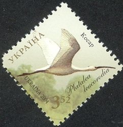 Colnect-573-578-Eurasian-Spoonbill-Platalea-leucorodia.jpg