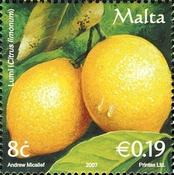 Colnect-657-673-Lemons-Citrus-limonum.jpg