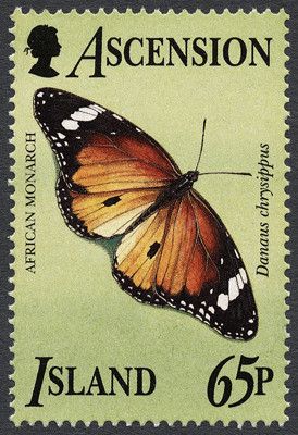 Colnect-853-313-African-Monarch-Danaus-chrysippus.jpg