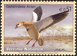 Colnect-1633-525-Egyptian-Goose-Alopochen-aegyptiacus.jpg