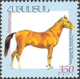Colnect-2094-470-Karabakh-Horse-Equus-ferus-caballus.jpg