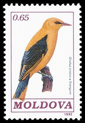 Colnect-348-275-Golden-Oriole-Oriolus-oriolus.jpg