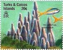 Colnect-5767-862-Pillar-coral-yellowtail-snapper.jpg