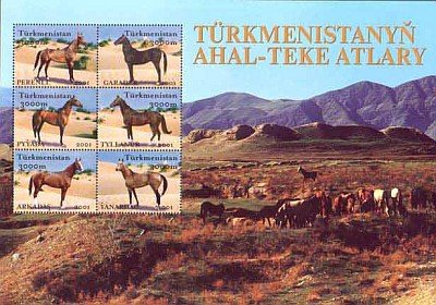 Colnect-639-506-Akhal-Teke-Horse-Equus-ferus-caballus-.jpg