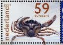 Colnect-702-574-Common-Shore-Crab-Carcinus-maenas.jpg