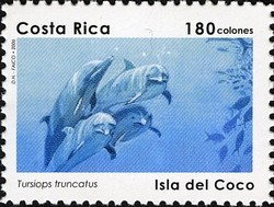 Colnect-1723-295-Common-Bottlenose-Dolphin-Tursiops-truncatus.jpg