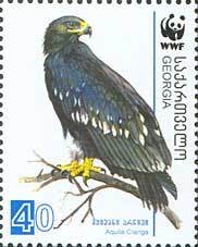 Colnect-1109-163-Greater-Spotted-Eagle%C2%A0Aquila-clanga.jpg