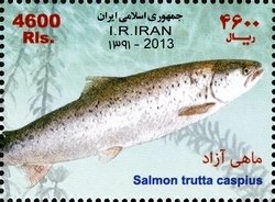 Colnect-2208-711-Caspian-Trout-Salmon-trutta-caspius.jpg