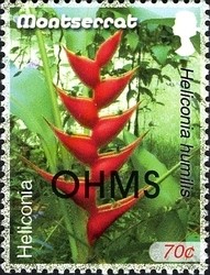 Colnect-1523-970-OHMS-overprint---Heliconia.jpg