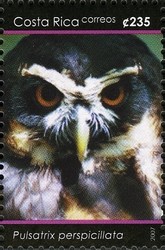 Colnect-1723-416-Spectacled-Owl-Pulsatrix-perspicillata.jpg