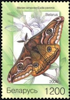 Colnect-1053-594-Small-Emperor-Moth-Eudia-pavonia.jpg