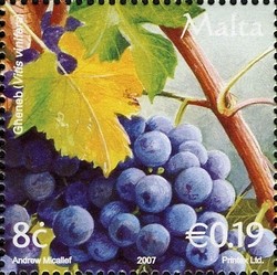 Colnect-657-669-Grapes-Viris-vinifera.jpg
