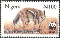 Colnect-905-917-Side-striped-Jackal-Canis-adustus.jpg