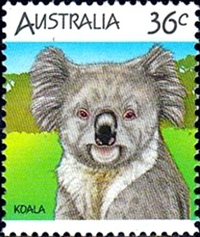 Colnect-1093-915-Koala-Phascolarctos-cinereus.jpg