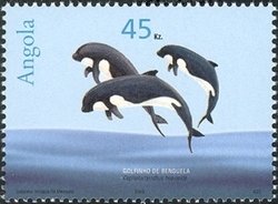 Colnect-1308-853-Heaviside-s-Dolphin-Cephalorhynchus-heavisidii.jpg
