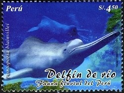 Colnect-1562-001-La-Plata-Dolphin-Pontoporia-blainvillei.jpg