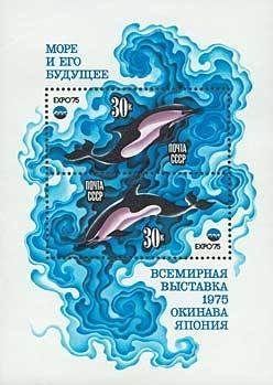 Colnect-194-639-Dolphin-Delphinus-sp.jpg