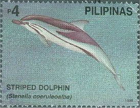 Colnect-2906-830-Striped-Dolphin-Stenella-coeruleoalba.jpg