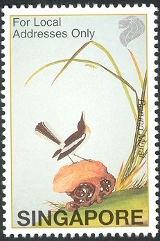 Colnect-1606-832-Oriental-Magpie-Robin-Copsychus-saularis.jpg