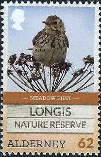 Colnect-3129-332-Meadow-Pipit-Anthus-pratensis-.jpg