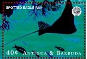 Colnect-5683-062-Spotted-eagle-ray.jpg