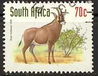 Roan-Antelope-Hippotragus-equinus.jpg