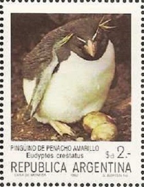 Colnect-1607-217-Southern-Rockhopper-Penguin-Eudyptes-crestatus.jpg