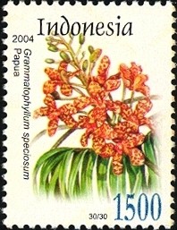 Colnect-1586-594-Flora---Grammatophyllum-speciosum.jpg